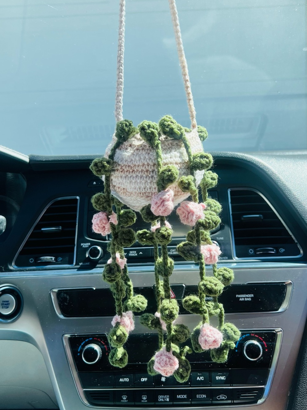 Crochet Hanging Wall Planter Art in Pink and Green